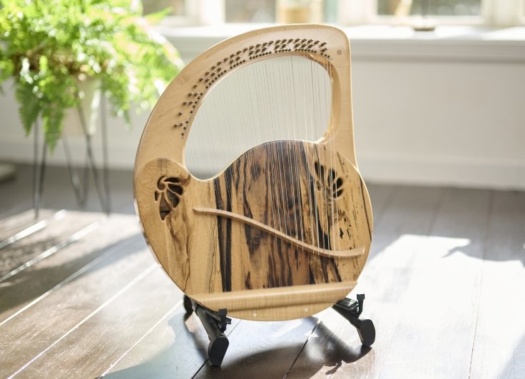 立てかけてあるライアーの写真