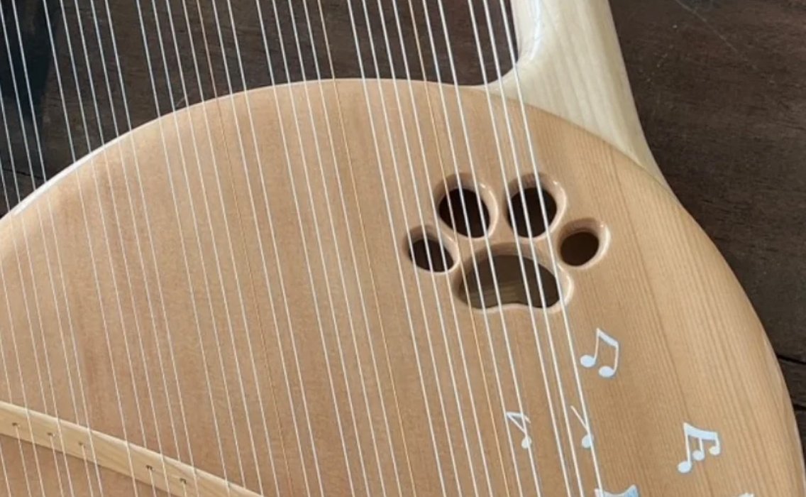 猫の足跡の穴が開いている写真